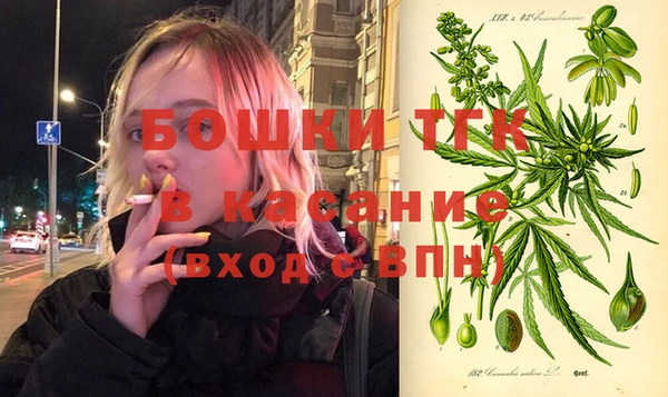 прущие крисы Бородино