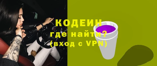 шишки Богородск