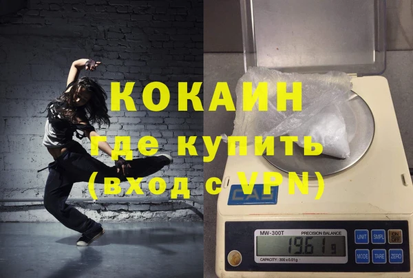 шишки Богородск