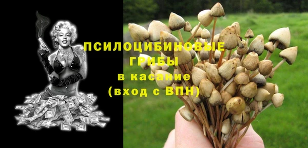 прущие крисы Бородино