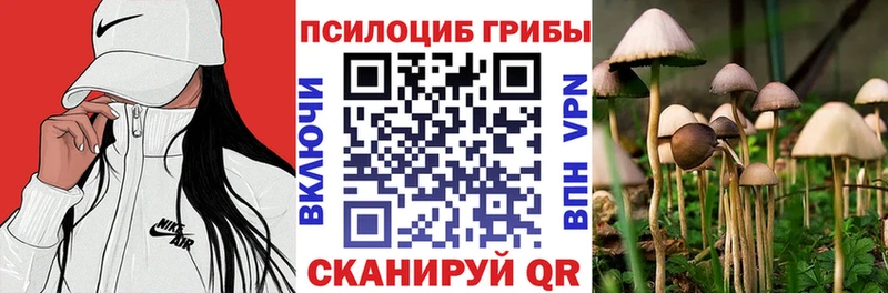 Купить закладки  Давлеканово  Галлюциногенные грибы ЛСД 