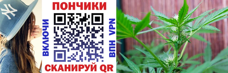 Купить закладки  Давлеканово  Шишки марихуана Amnesia 